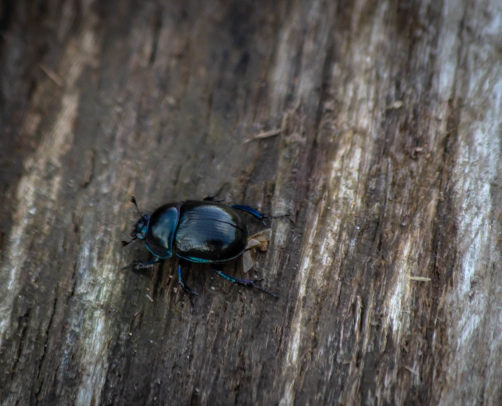 Photograph by Ольга Сафронова