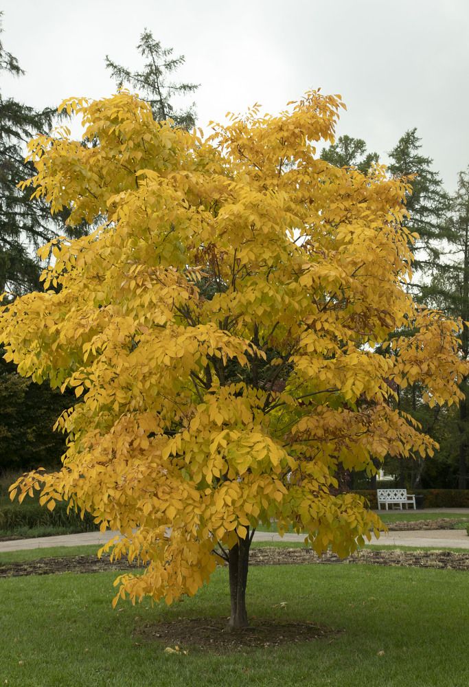 Photograph by владимир Заворотный