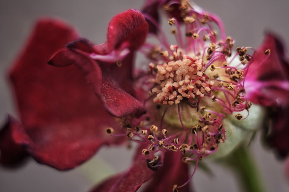 Photograph by Наталья Ткаченко