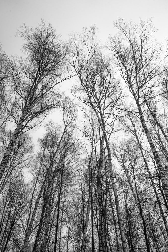 Photograph by Михаил Володин