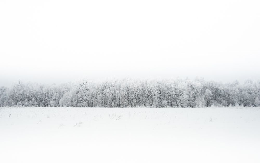 Photograph by Михаил Володин