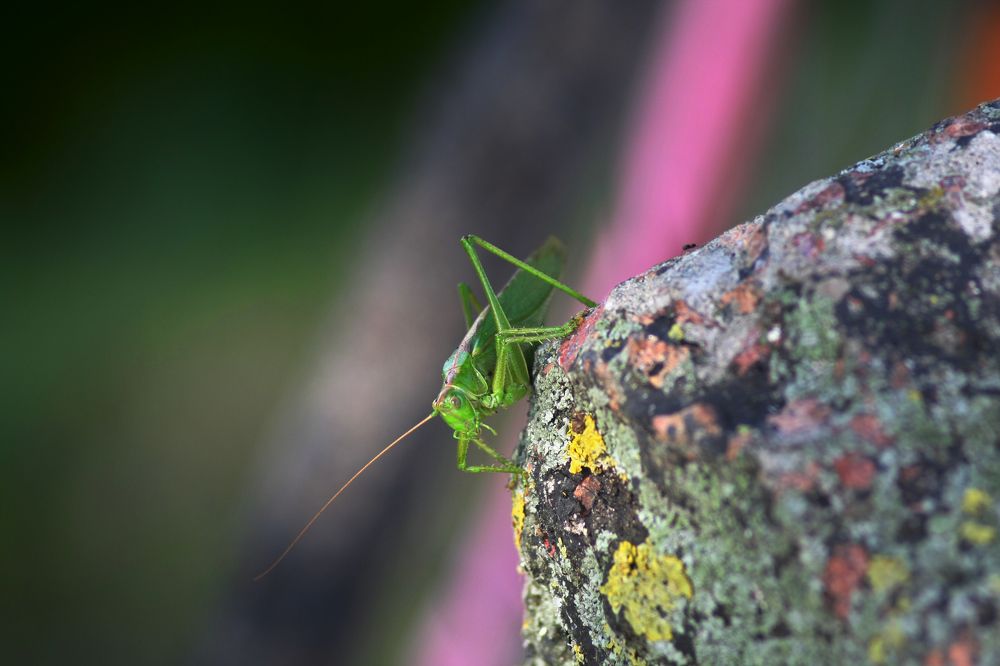 Фотография автора Настя