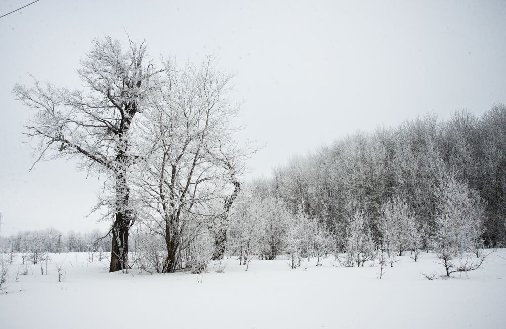 Photograph by Михаил Володин