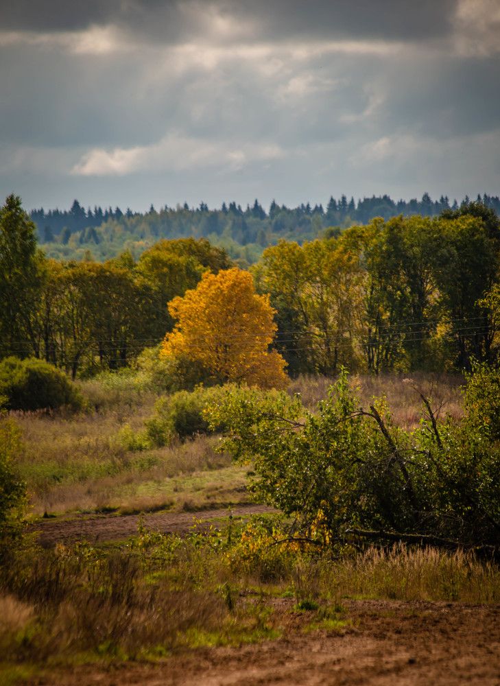Photograph by Ольга Сафронова