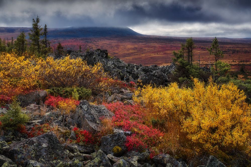 Photograph by Сергей Межин