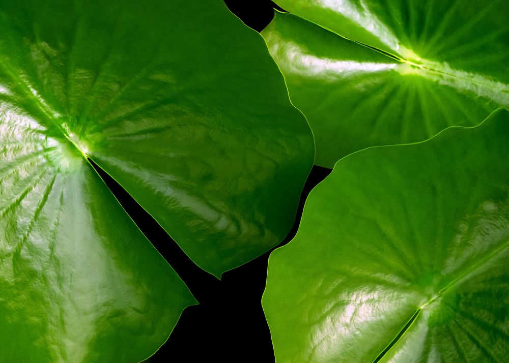 Фотография автора Татьяна Тур