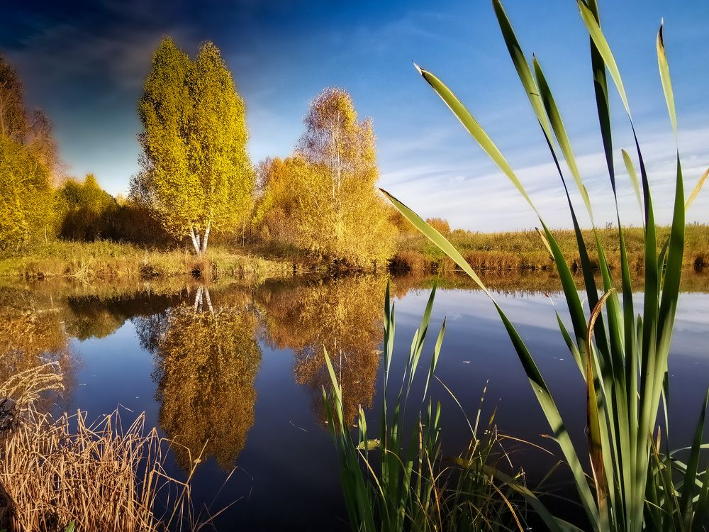 Photograph by Разумов Александр