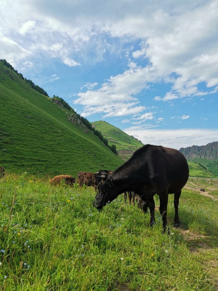 Photograph by Анна Петриенко