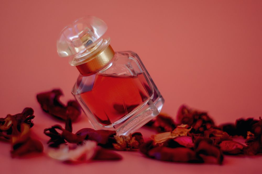Photograph by Алина Зарифянова