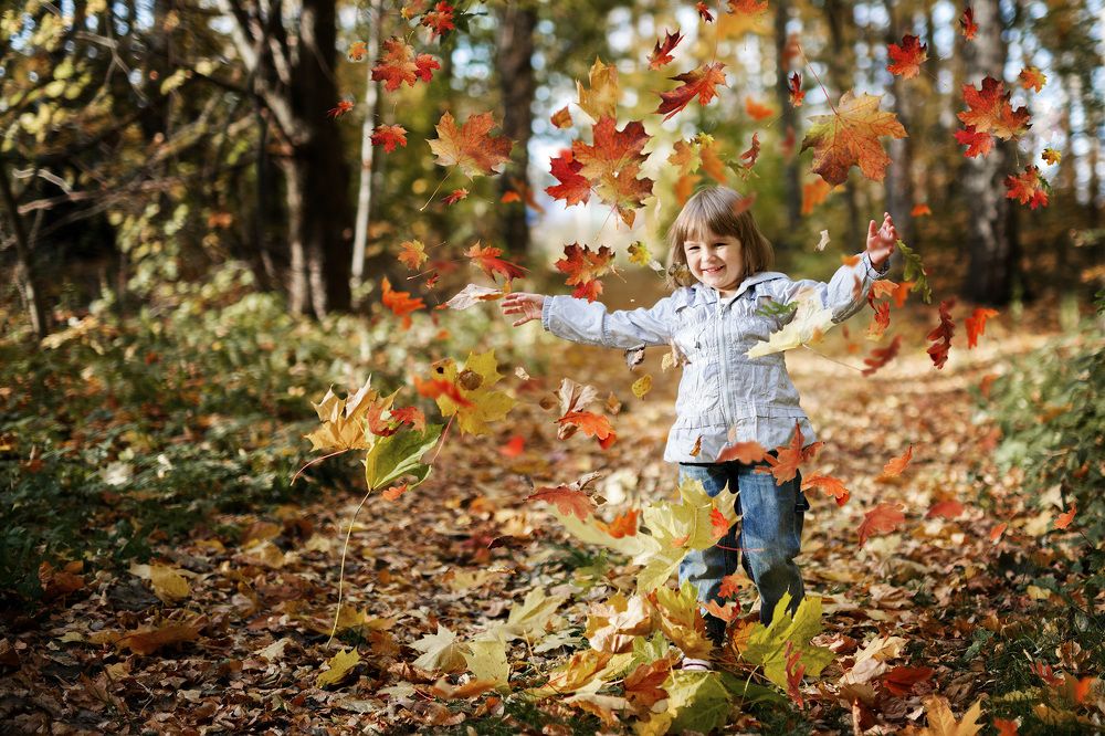 Photograph by Людмила Манохина