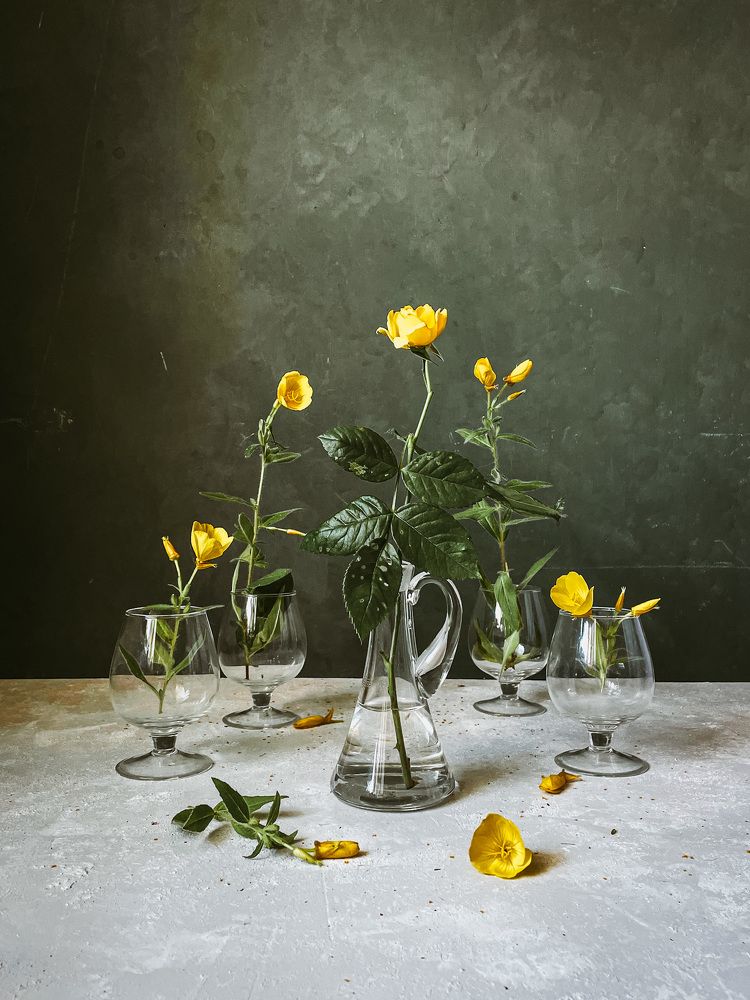 Photograph by Людмила Казак