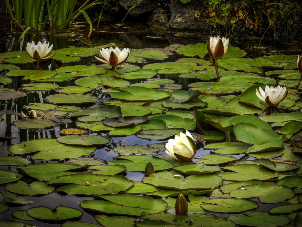 Photograph by Нина Будникова