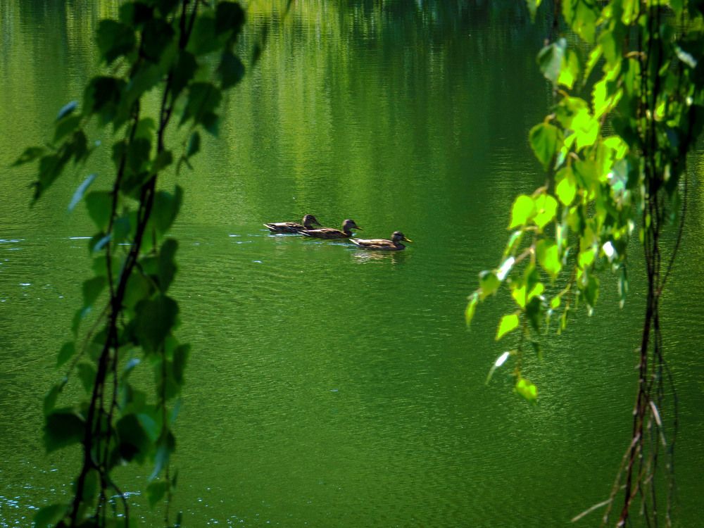 Photograph by Нина Будникова