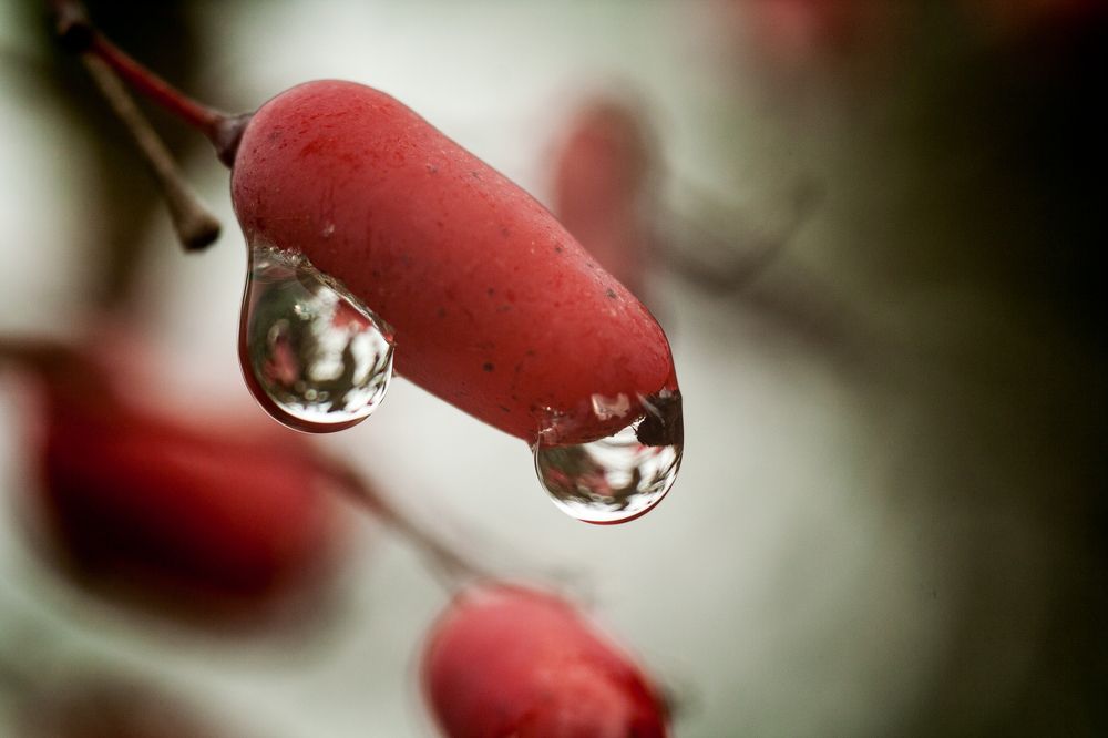 Photograph by Редько Александр