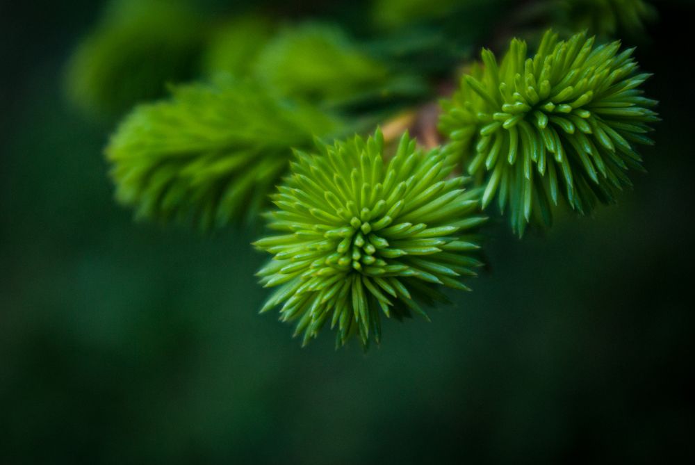 Photograph by Елена Берсенёва