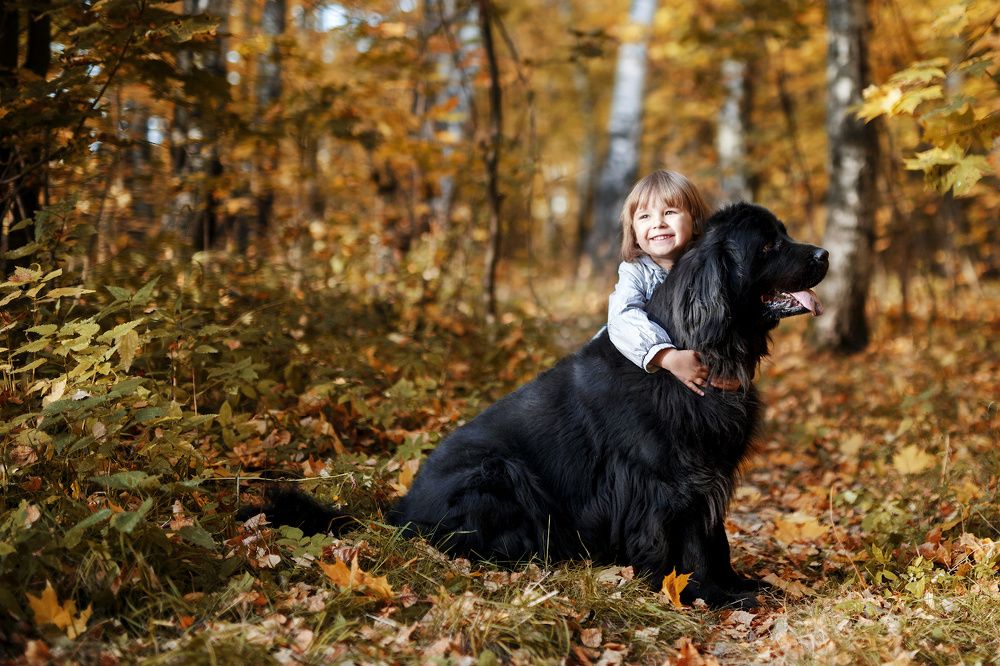 Photograph by Людмила Манохина