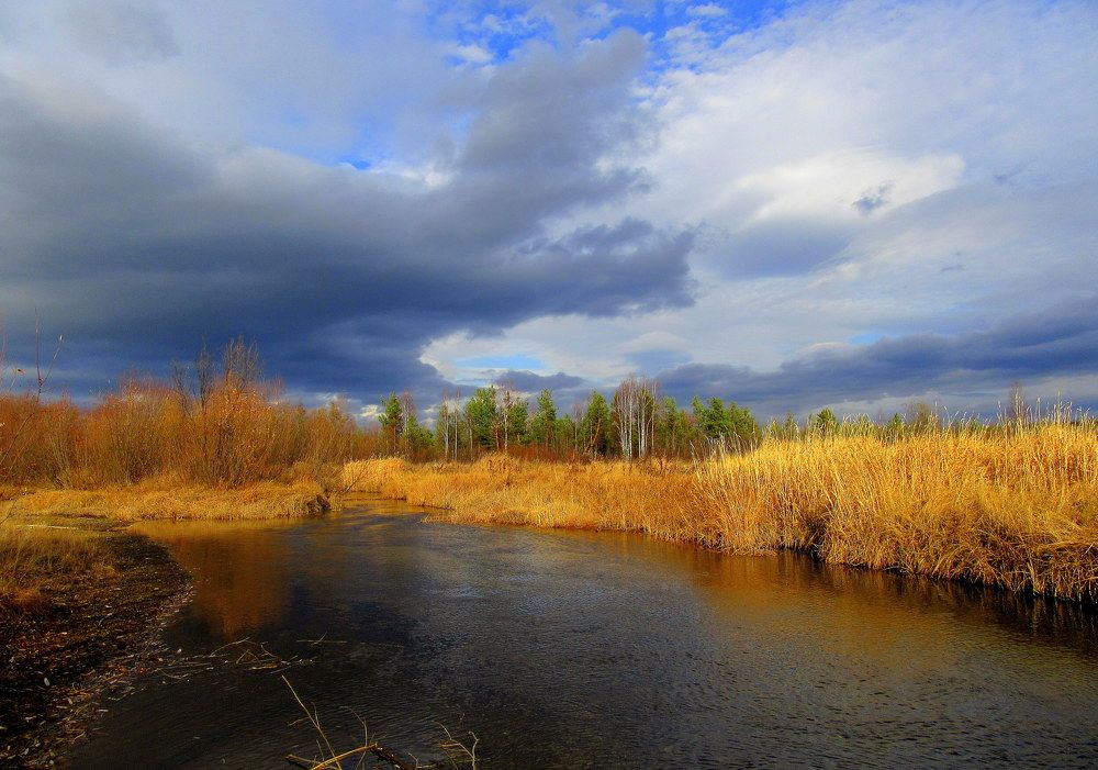 Photograph by Ирина Осипова