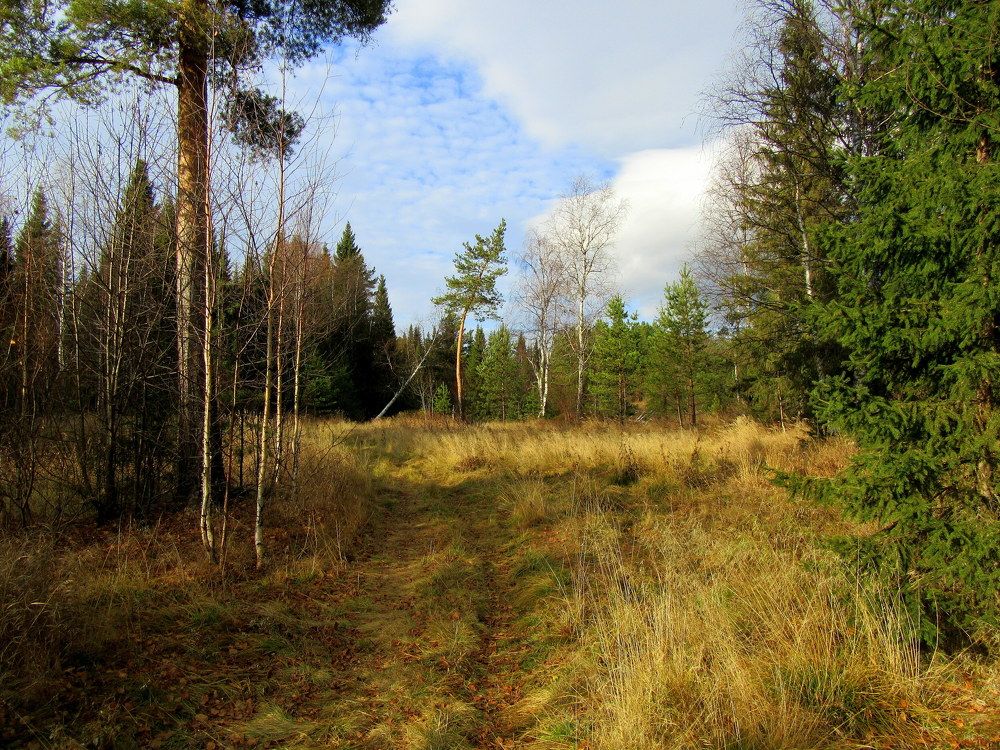 Photograph by Ирина Осипова