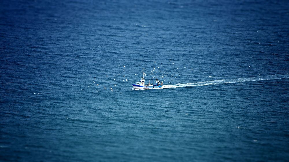 Photograph by Adrian Eperjessy