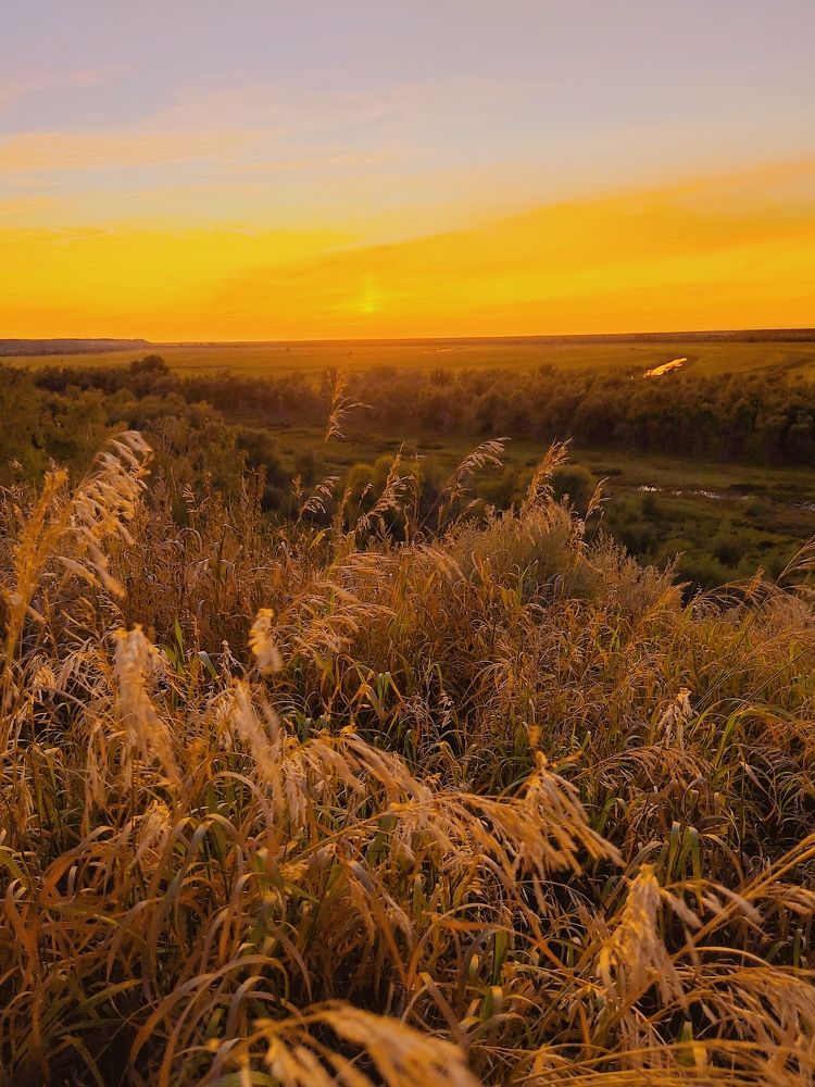 Photograph by Наталья