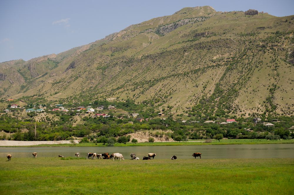 Photograph by Ольга Аникина