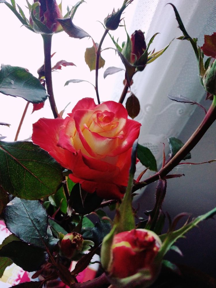 Photograph by Наталия Юминова