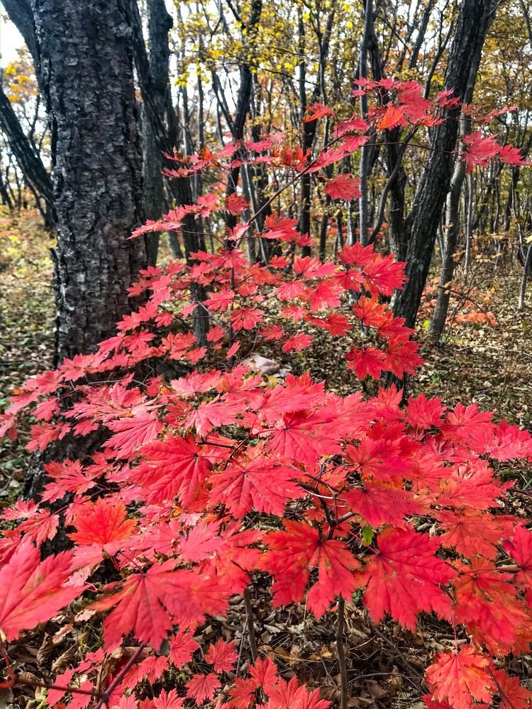 Photograph by Ирина Гаврилова