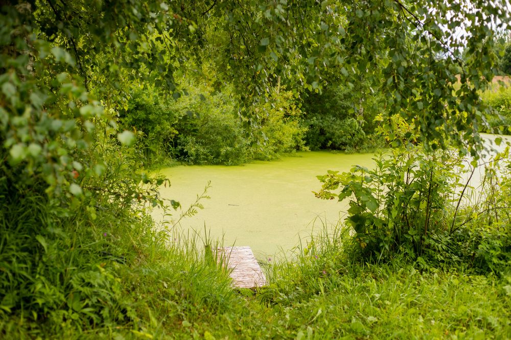 Photograph by Ольга Аникина