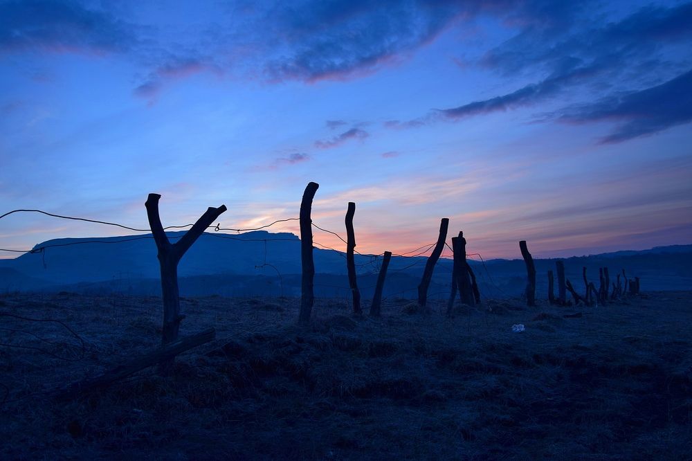 Photograph by Margo Margo