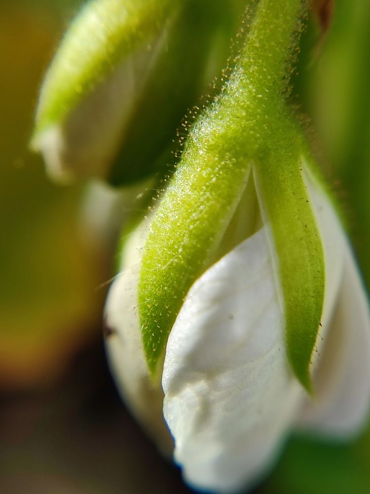 Photograph by Katsiaryna Sazonava