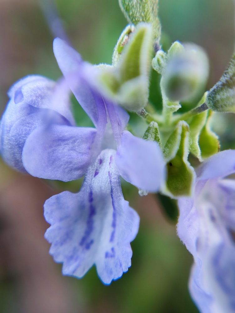 Photograph by Katsiaryna Sazonava