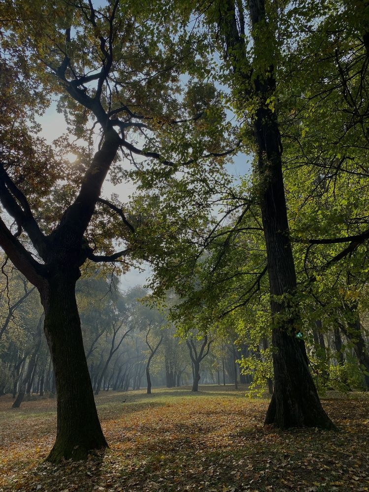 Photograph by Oksana lukyanova