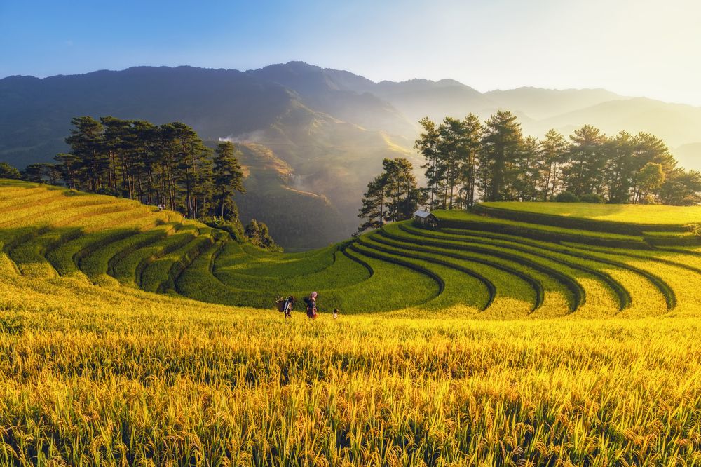 Photograph by Nguyen Ngoc Tuan