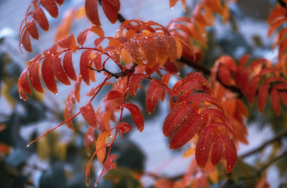 Photograph by Юлия Лушникова