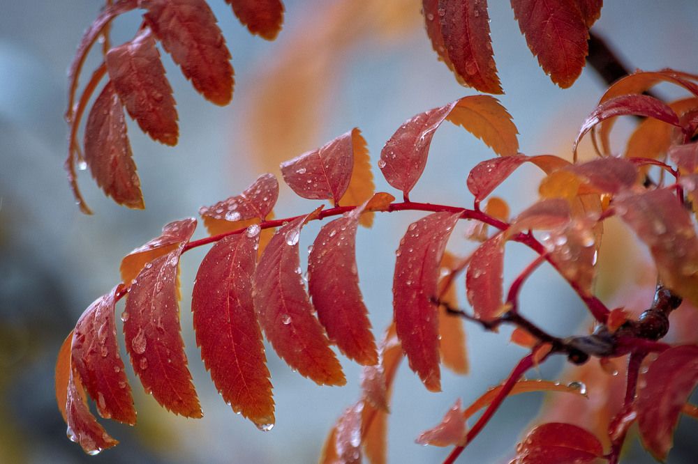 Photograph by Юлия Лушникова