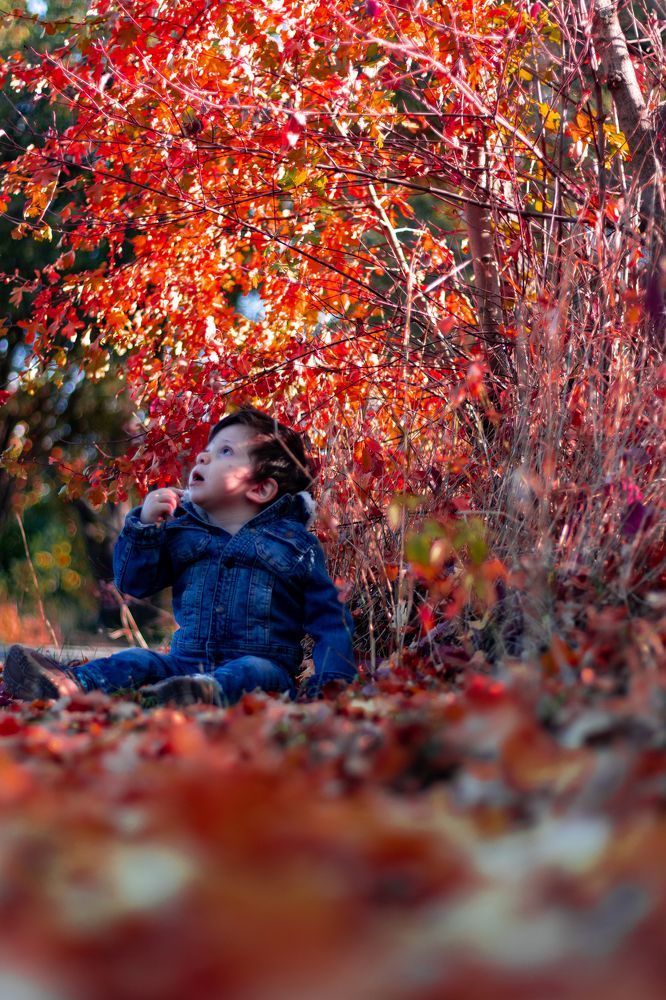 Photograph by Александр Лисикян