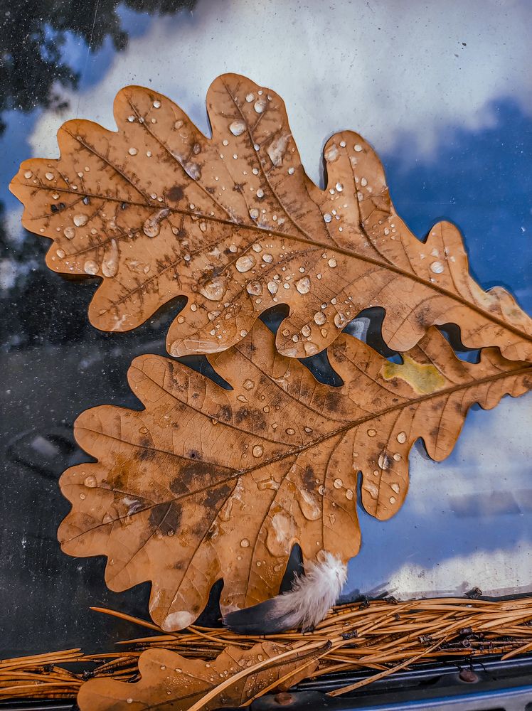 Photograph by Олеся Хижко