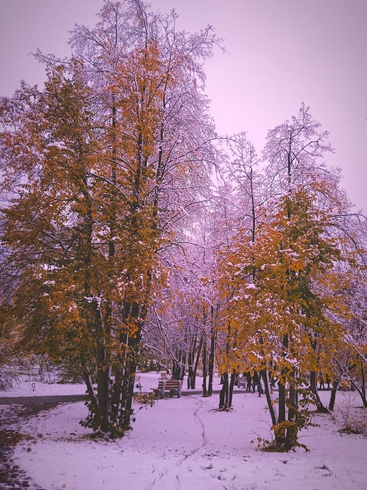 Photograph by Нина Мехнина