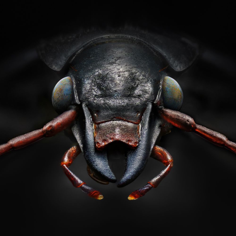 Photograph by Eduardo Modolo