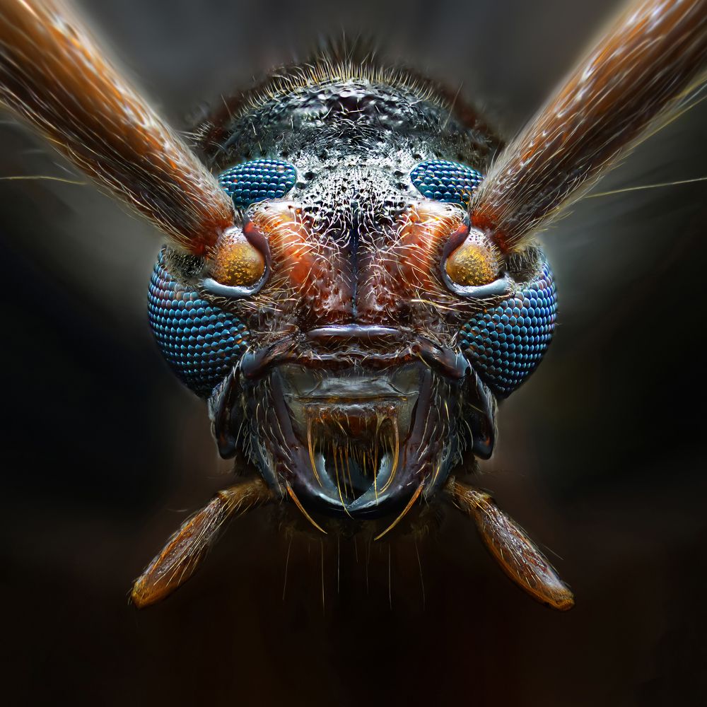 Photograph by Eduardo Modolo