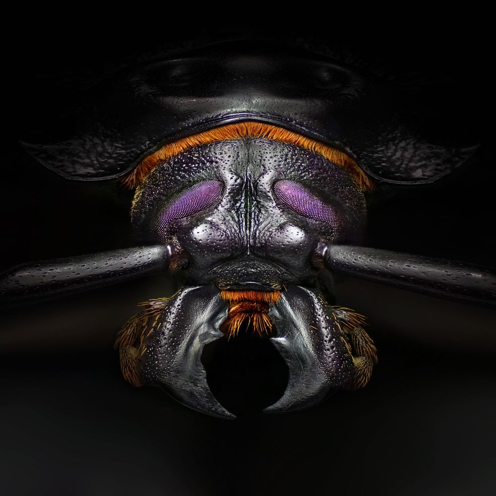 Photograph by Eduardo Modolo