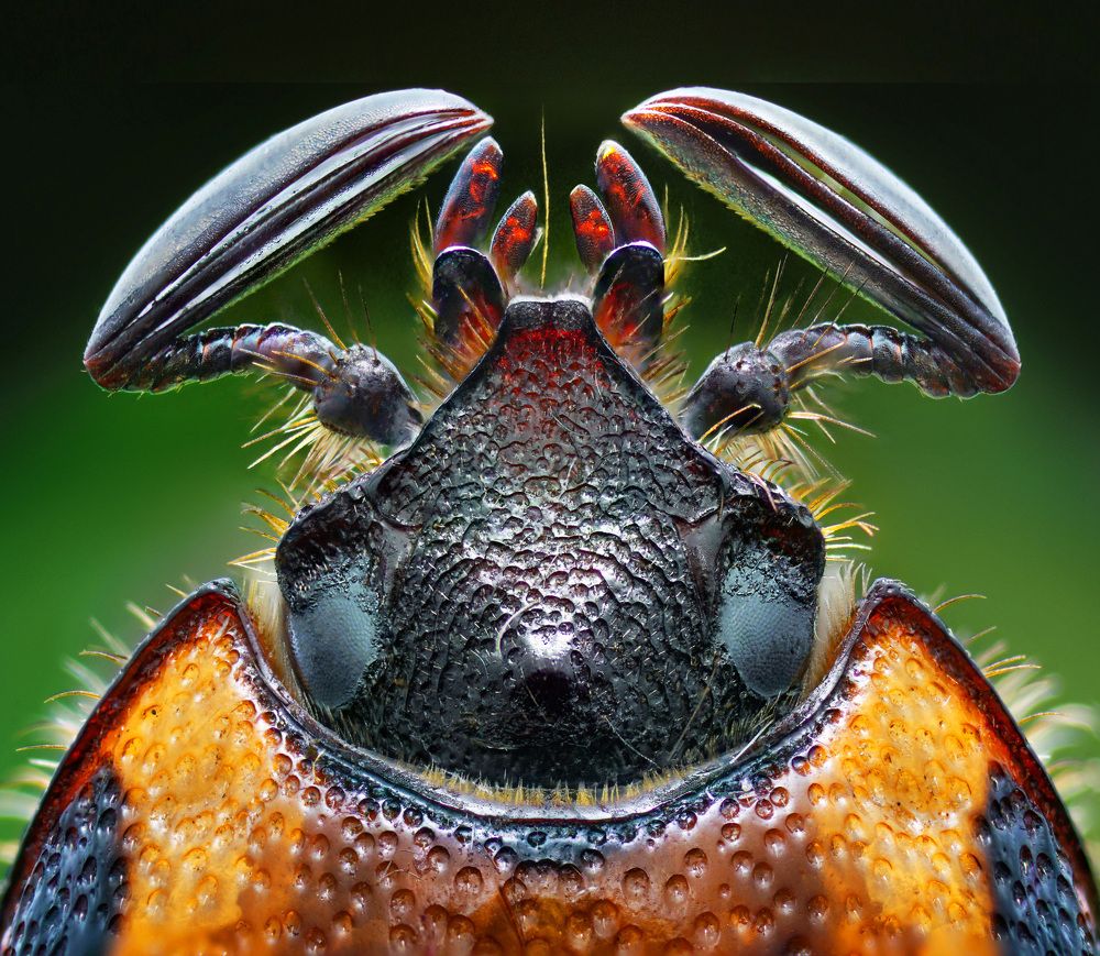 Photograph by Eduardo Modolo