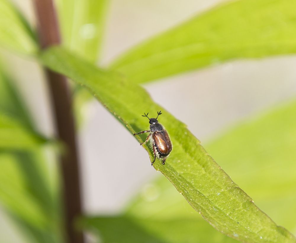 Photograph by Эдуард Седельник