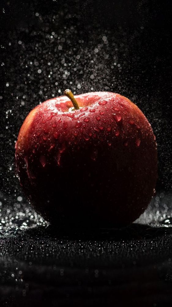 Photograph by Shaiban Alsamraie