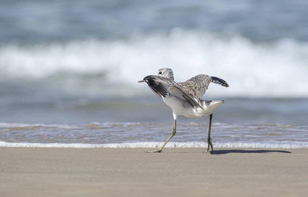 Photograph by Валентина Лопаткина