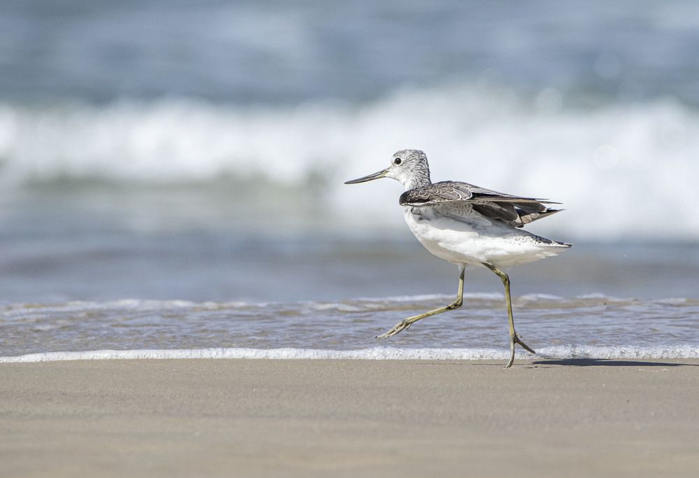 Photograph by Валентина Лопаткина