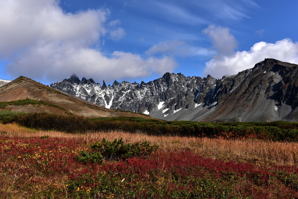 Ганальские Востряки