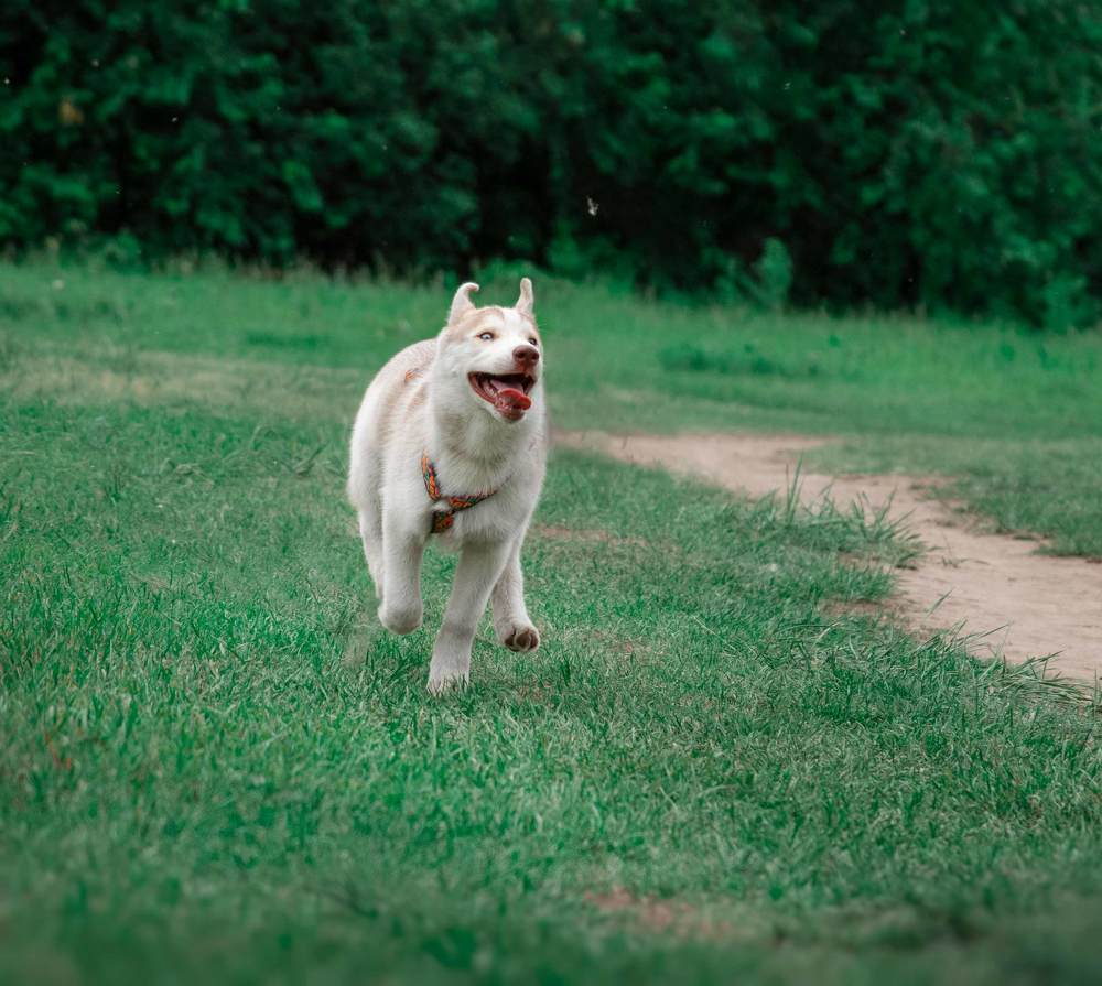 Photograph by Валерия Васина