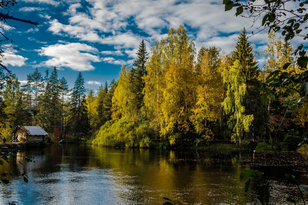 Photograph by Игорь Сидун