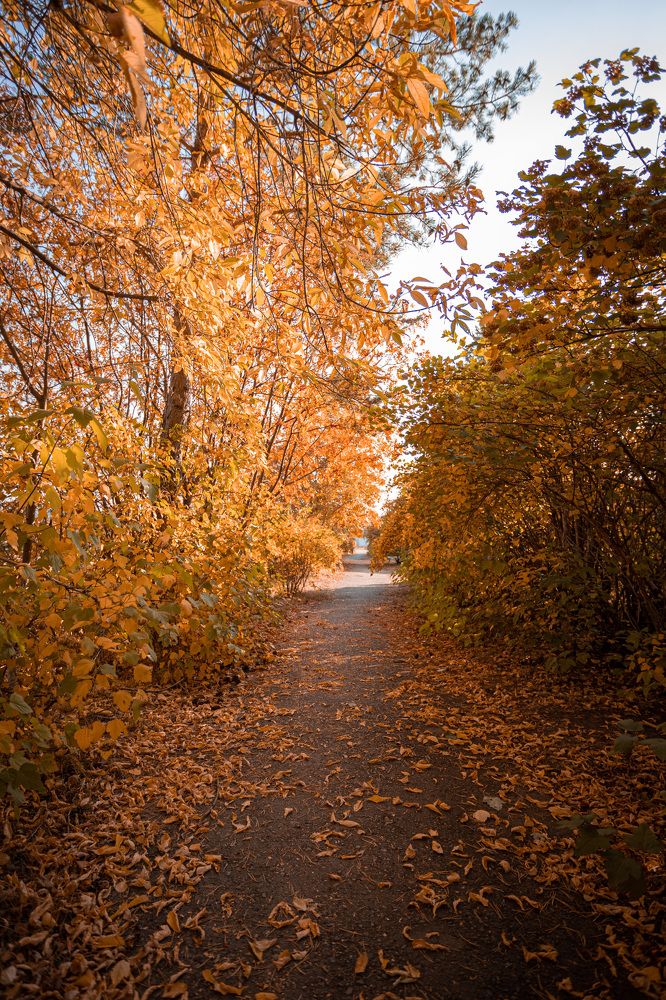 Photograph by Антон Чупин